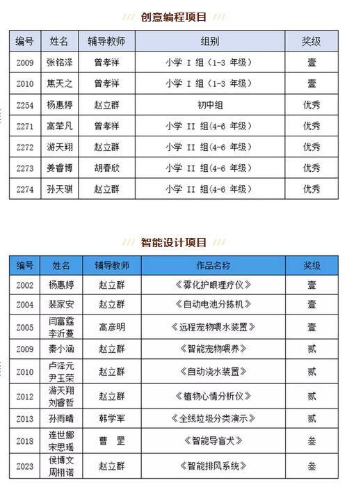 參賽項(xiàng)目