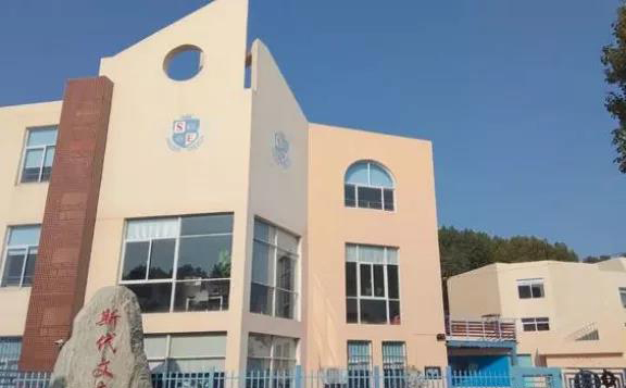 斯代文森国际学校
