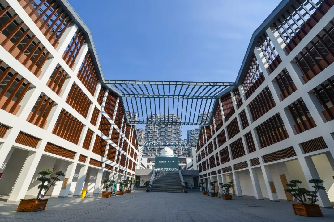 杭州橄榄树学校