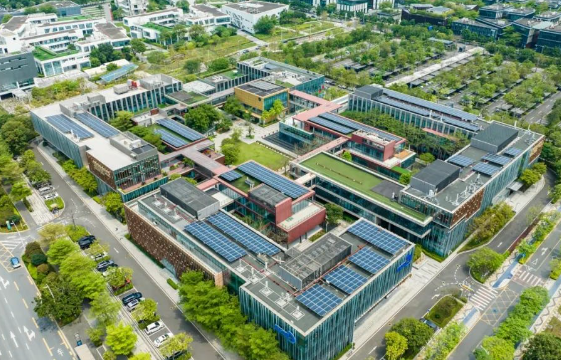 深圳灣國(guó)際藝術(shù)教育(SWAS)