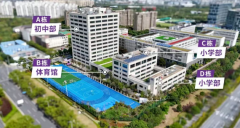 2025年上海浦东新区民办正达外国语学校招生简章