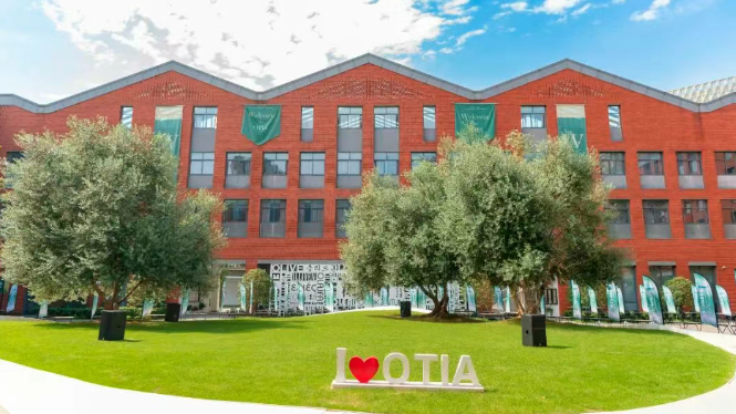 杭州橄欖樹學校