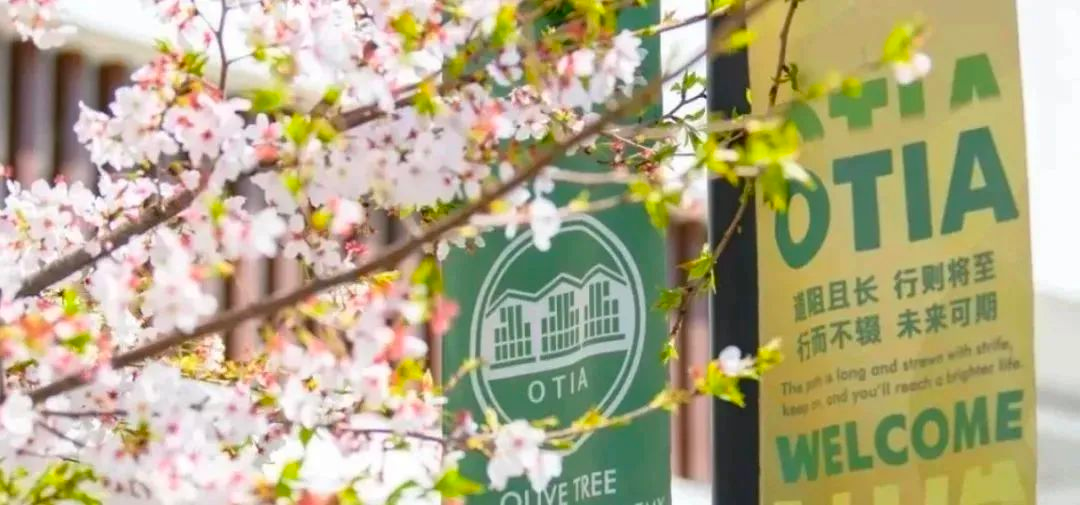 杭州橄欖樹學校