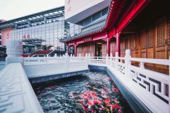 上海民辦尚德實驗學校中日國際高中2026年招生簡章！