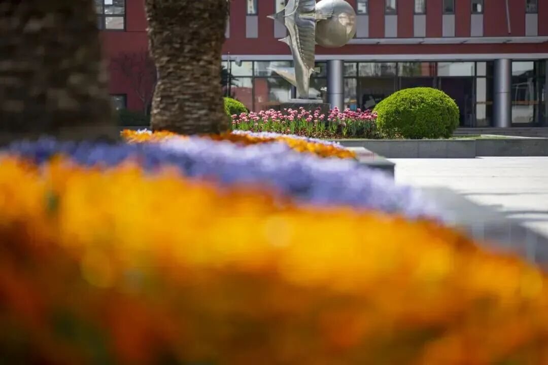 上海市世外中学