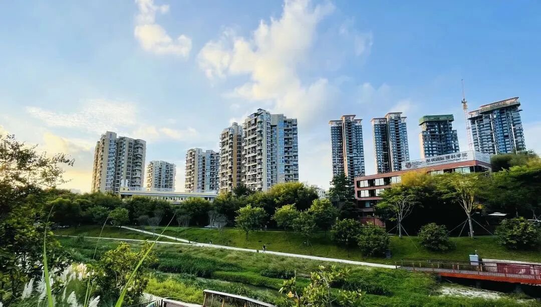 深圳IPC國際校區