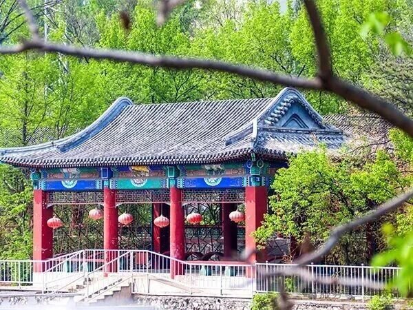 北京橘郡國際學校