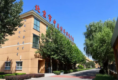 北京中關村外國語學校2025招生簡章！