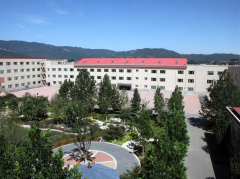 北京市師達中學2026年國際部招生簡章！