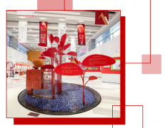 上海華旭雙語學校2025年招生簡章