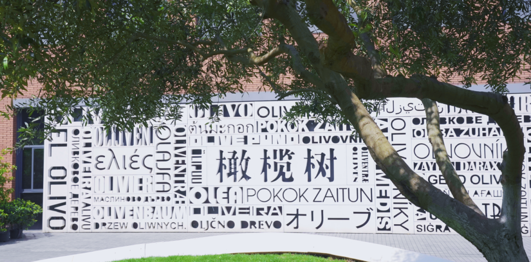 杭州橄榄树学校