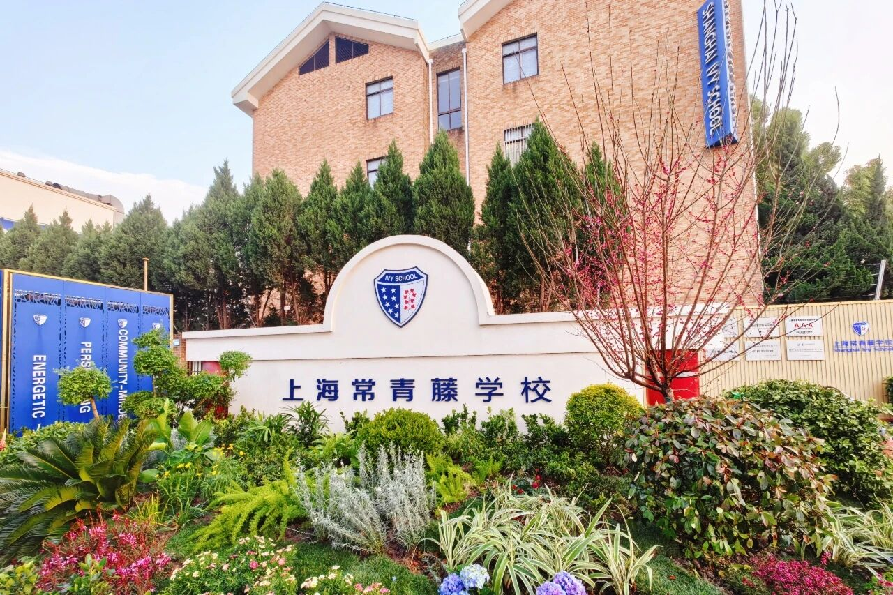 上海浦东新区民办常青藤小