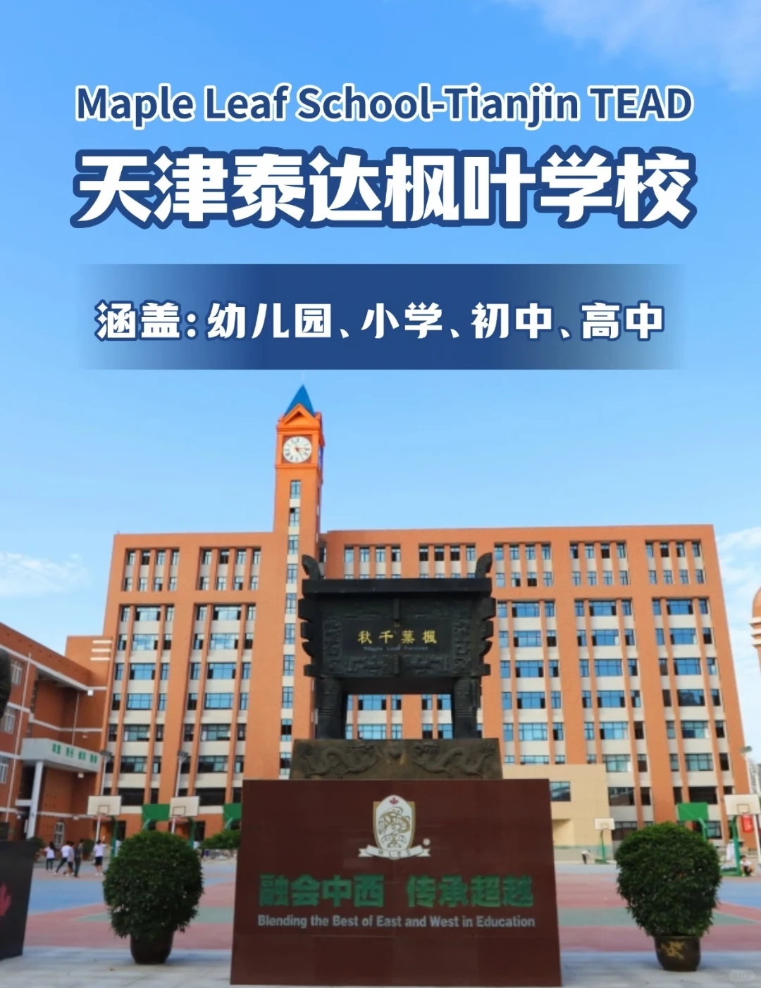 天津泰达枫叶国际学校