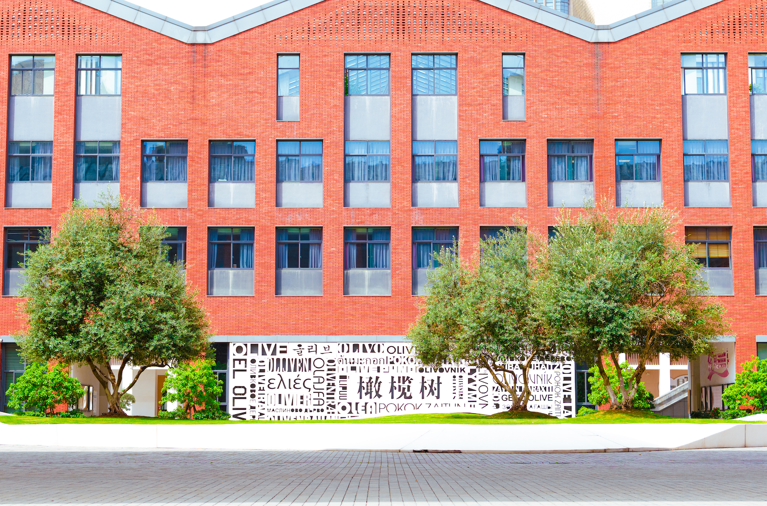 杭州橄榄树学校