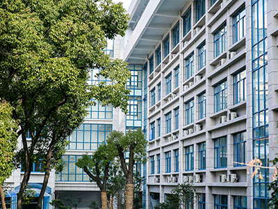 上外附中国际部