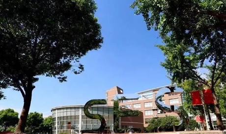 感受上海市实验学校国际部懂中国文化有世界眼光的中外文化培养模式