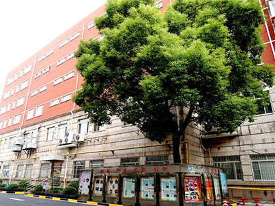 上海市文绮中学·闵行汇点美高开放日openday