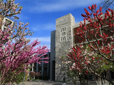 北外留学基地留学预科师资团队