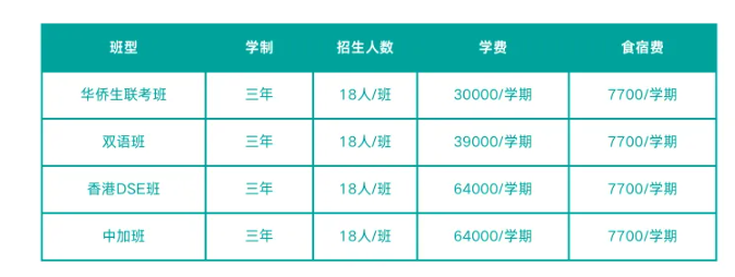 佛山市岭南美术实验中学双语班新闻动态