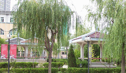 烟台清泉学校校园风采