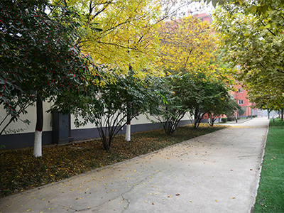 北京新府学外国语学校