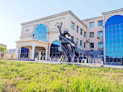 北京橘郡美高国际学校