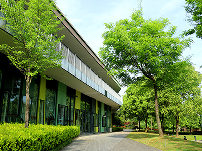 杭州育澜学校