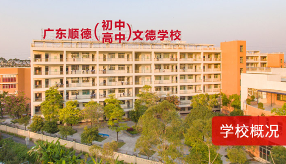顺德文德学校国际部