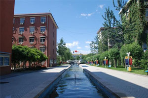 北京中加学校介绍