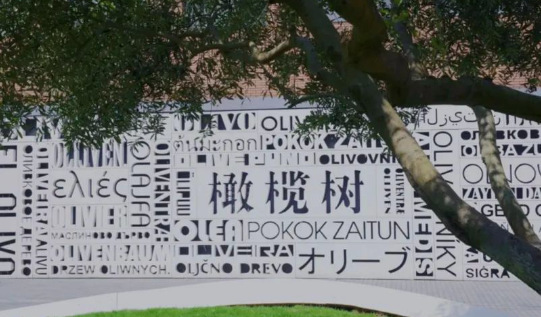 杭州橄榄树学校