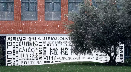 杭州橄榄树学校