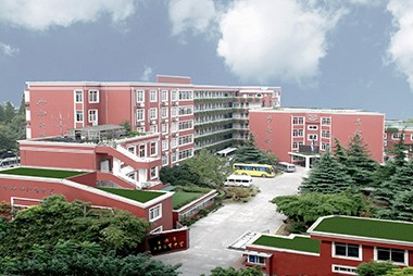 上海市西南位育中学国际部介绍