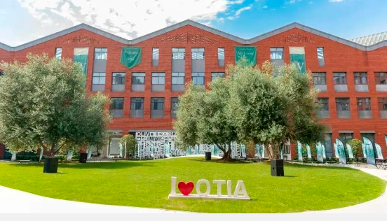 杭州橄榄树学校