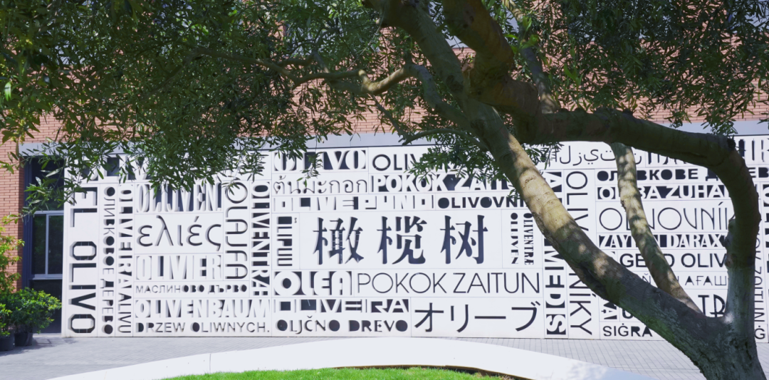 杭州橄榄树学校