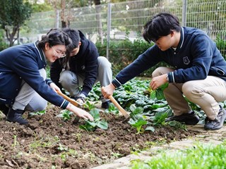 技术测试2026年7月15日13:57:15环境