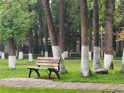 电子科技大学A-level国际课程项目校园风采