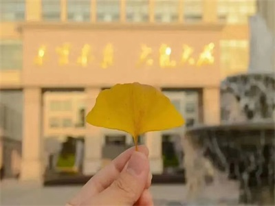 电子科技大学A-level国际课程项目校园风采