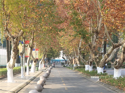 电子科技大学A-level国际课程项目校园风采