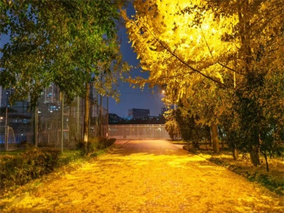 电子科技大学A-level国际课程项目校园风采