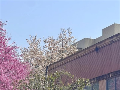 电子科技大学A-level国际课程项目校园风采