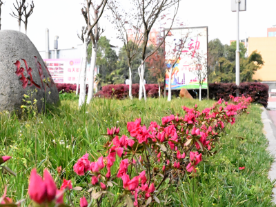 校園環(huán)境