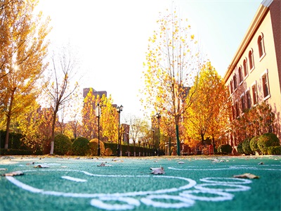 天津华兰国际学校校园风采