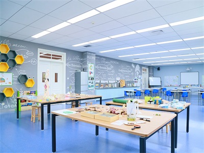 天津华兰国际学校校园风采