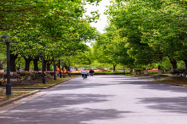 中侨同高韩亚欧国际高中校园风采
