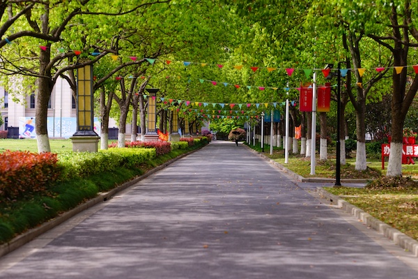 中侨同高韩亚欧国际高中校园风采