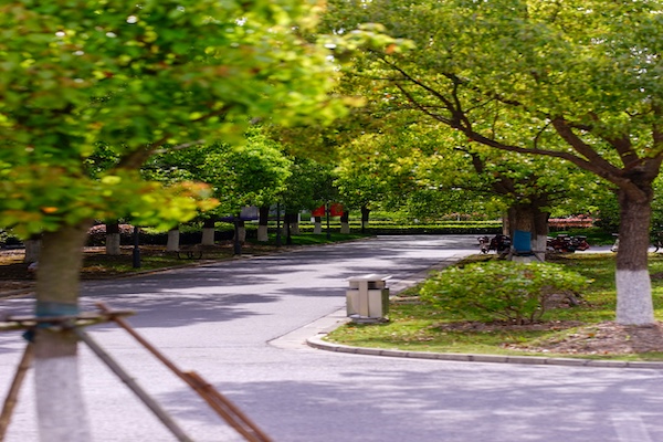 中侨同高韩亚欧国际高中校园风采