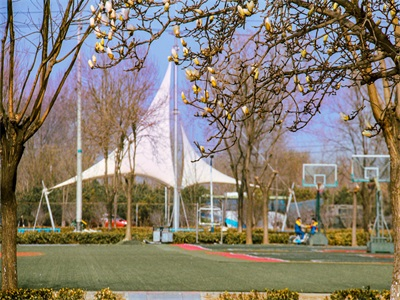 北京市博文学校校园风采