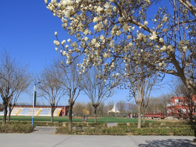 北京市博文学校校园风采