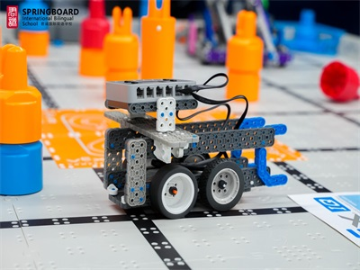 君诚国际双语学校校园风采