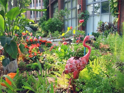 广州天省实验学校中外合作办学项目校园风采